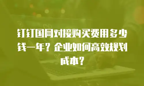 钉钉国网对接购买费用多少钱一年？企业如何高效规划成本？