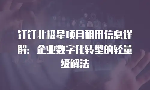 钉钉北极星项目租用信息详解：企业数字化转型的轻量级解法