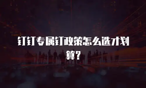 钉钉专属钉政策怎么选才划算？