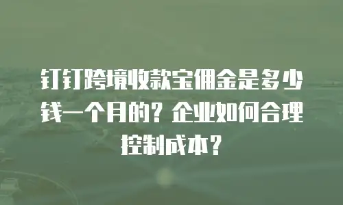 钉钉跨境收款宝佣金是多少钱一个月的？企业如何合理控制成本？