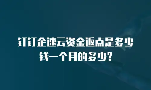 钉钉企速云资金返点是多少钱一个月的多少？