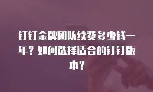 钉钉金牌团队续费多少钱一年？如何选择适合的钉钉版本？