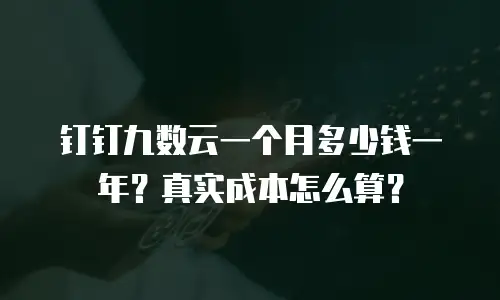 钉钉九数云一个月多少钱一年？真实成本怎么算？