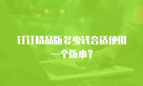 钉钉精品版多少钱合适使用一个版本？