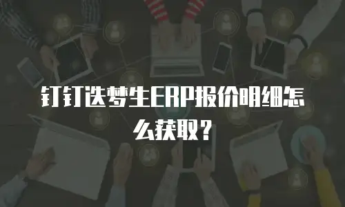 钉钉迭梦生ERP报价明细怎么获取？