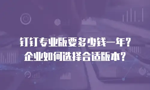 钉钉专业版要多少钱一年？企业如何选择合适版本？