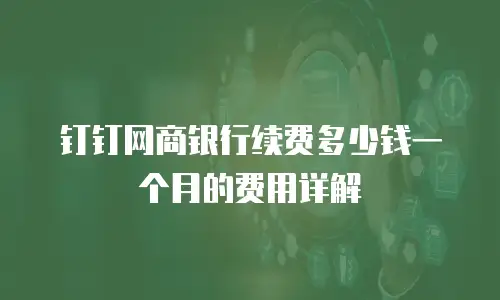 钉钉网商银行续费多少钱一个月的费用详解