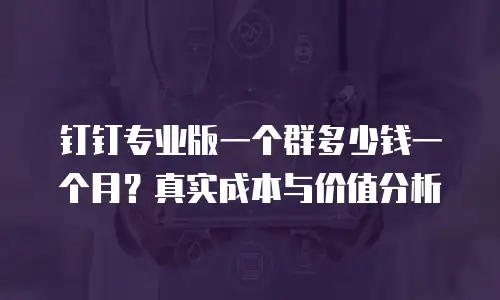 钉钉专业版一个群多少钱一个月？真实成本与价值分析