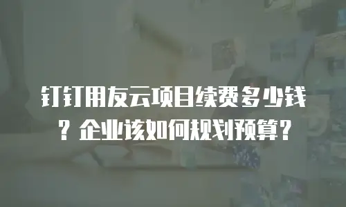 钉钉用友云项目续费多少钱？企业该如何规划预算？