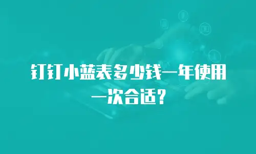 钉钉小蓝表多少钱一年使用一次合适？