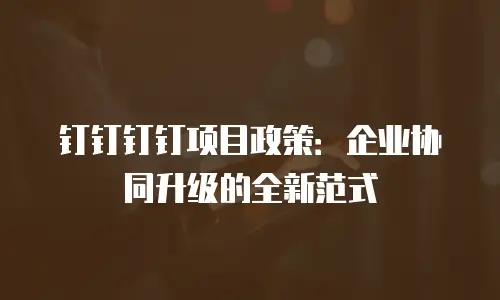 钉钉钉钉项目政策：企业协同升级的全新范式