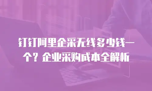 钉钉阿里企采无线多少钱一个？企业采购成本全解析