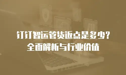 钉钉智运管货返点是多少？全面解析与行业价值