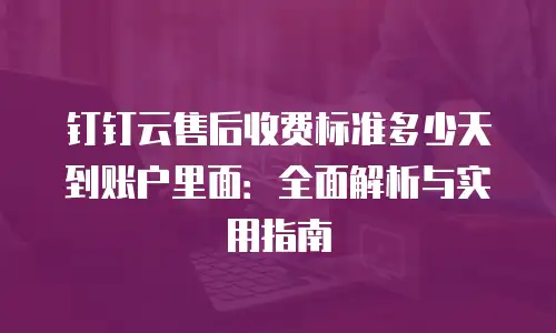 钉钉云售后收费标准多少天到账户里面：全面解析与实用指南