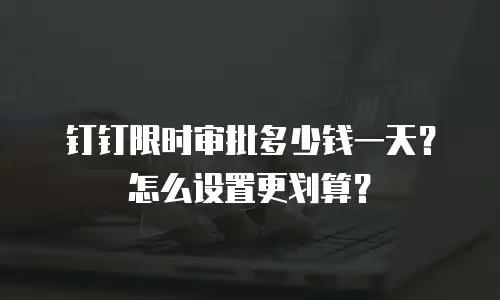 钉钉限时审批多少钱一天？怎么设置更划算？