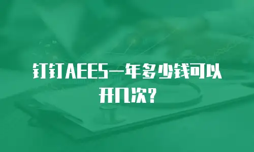 钉钉AEES一年多少钱可以开几次？