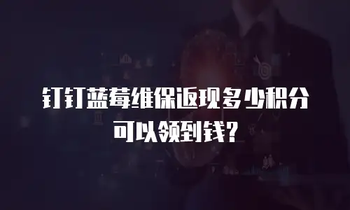 钉钉蓝莓维保返现多少积分可以领到钱？