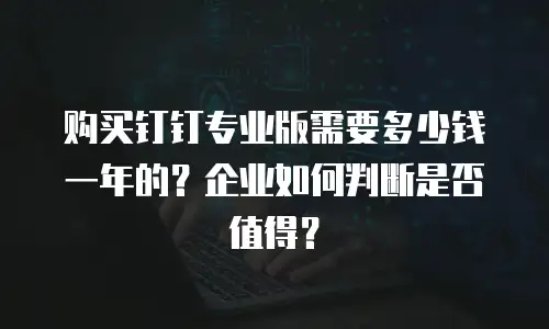 购买钉钉专业版需要多少钱一年的？企业如何判断是否值得？