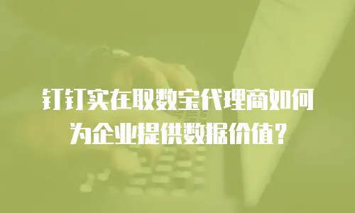钉钉实在取数宝代理商如何为企业提供数据价值？