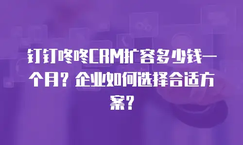 钉钉咚咚CRM扩容多少钱一个月？企业如何选择合适方案？