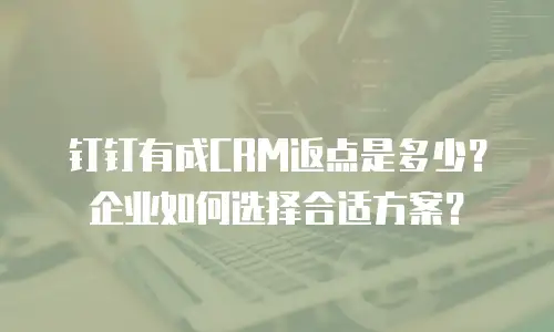 钉钉有成CRM返点是多少？企业如何选择合适方案？