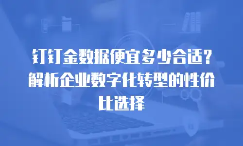 钉钉金数据便宜多少合适？解析企业数字化转型的性价比选择