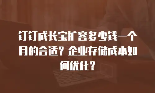 钉钉成长宝扩容多少钱一个月的合适？企业存储成本如何优化？