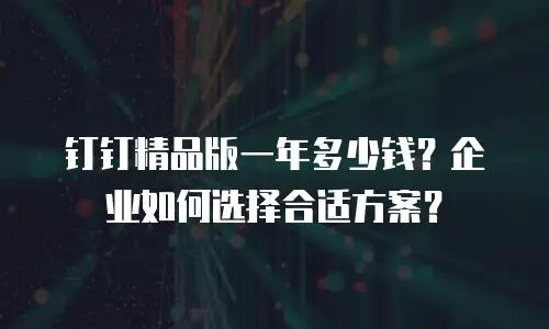 钉钉精品版一年多少钱？企业如何选择合适方案？
