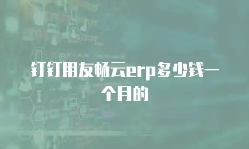 钉钉用友畅云erp多少钱一个月的