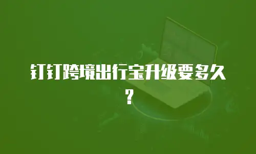 钉钉跨境出行宝升级要多久？