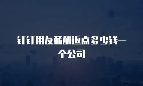 钉钉用友薪酬返点多少钱一个公司