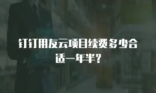 钉钉用友云项目续费多少合适一年半？