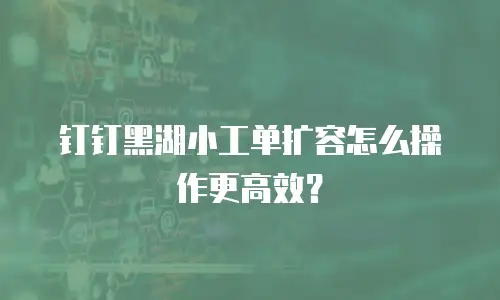 钉钉黑湖小工单扩容怎么操作更高效？