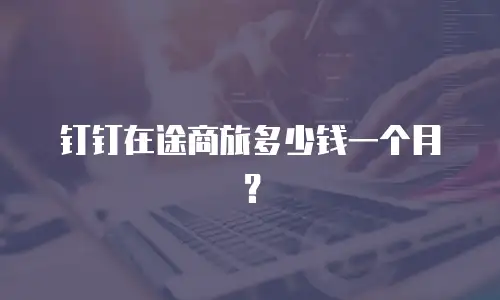钉钉在途商旅多少钱一个月？
