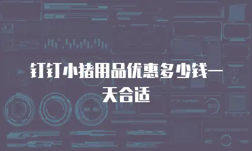 钉钉小猪用品优惠多少钱一天合适