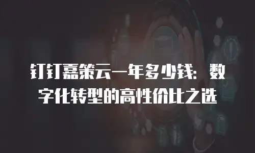 钉钉嘉策云一年多少钱：数字化转型的高性价比之选