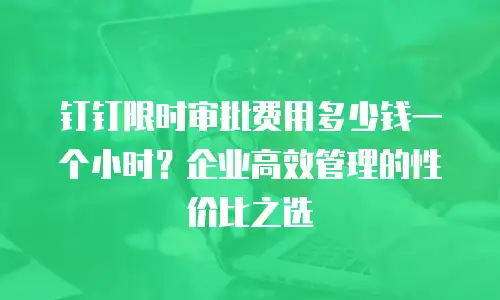 钉钉限时审批费用多少钱一个小时？企业高效管理的性价比之选