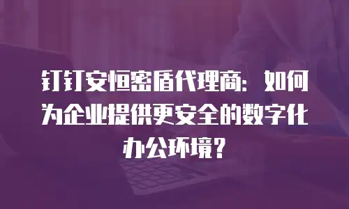 钉钉安恒密盾代理商：如何为企业提供更安全的数字化办公环境？