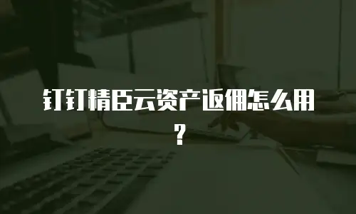 钉钉精臣云资产返佣怎么用？