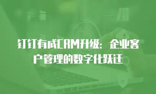 钉钉有成CRM升级：企业客户管理的数字化跃迁