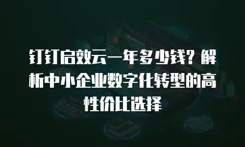 钉钉启效云一年多少钱？解析中小企业数字化转型的高性价比选择
