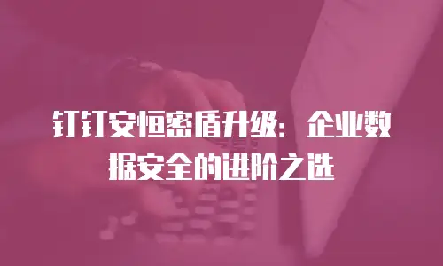 钉钉安恒密盾升级：企业数据安全的进阶之选