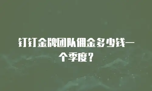 钉钉金牌团队佣金多少钱一个季度？