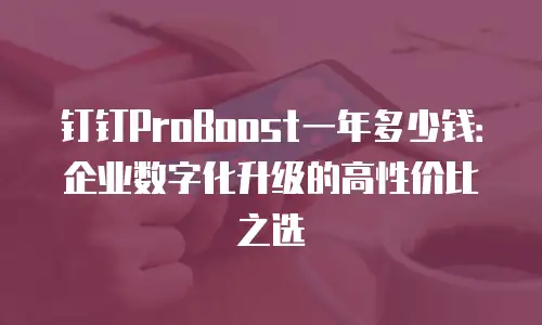钉钉ProBoost一年多少钱：企业数字化升级的高性价比之选