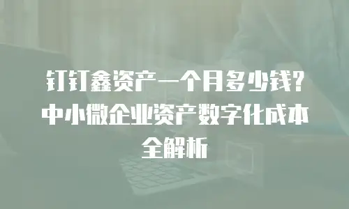 钉钉鑫资产一个月多少钱？中小微企业资产数字化成本全解析