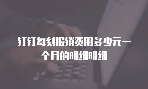 钉钉每刻报销费用多少元一个月的明细明细