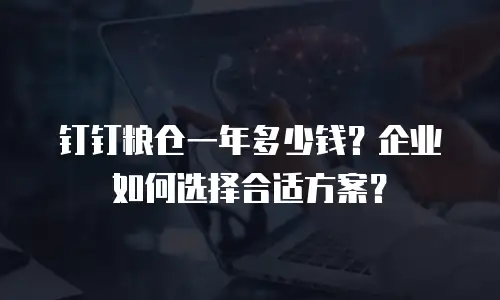 钉钉粮仓一年多少钱？企业如何选择合适方案？