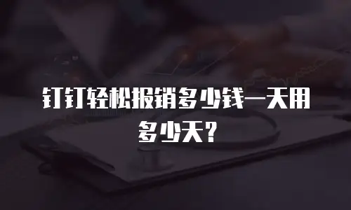 钉钉轻松报销多少钱一天用多少天？