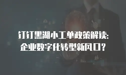 钉钉黑湖小工单政策解读：企业数字化转型新风口？