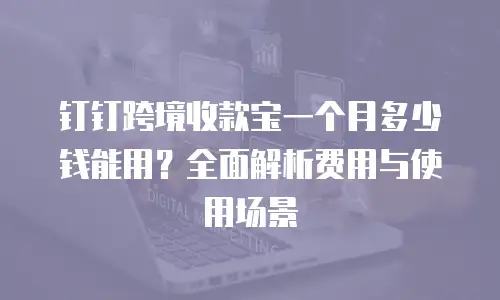 钉钉跨境收款宝一个月多少钱能用？全面解析费用与使用场景